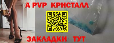 PSILOCYBIN Донской