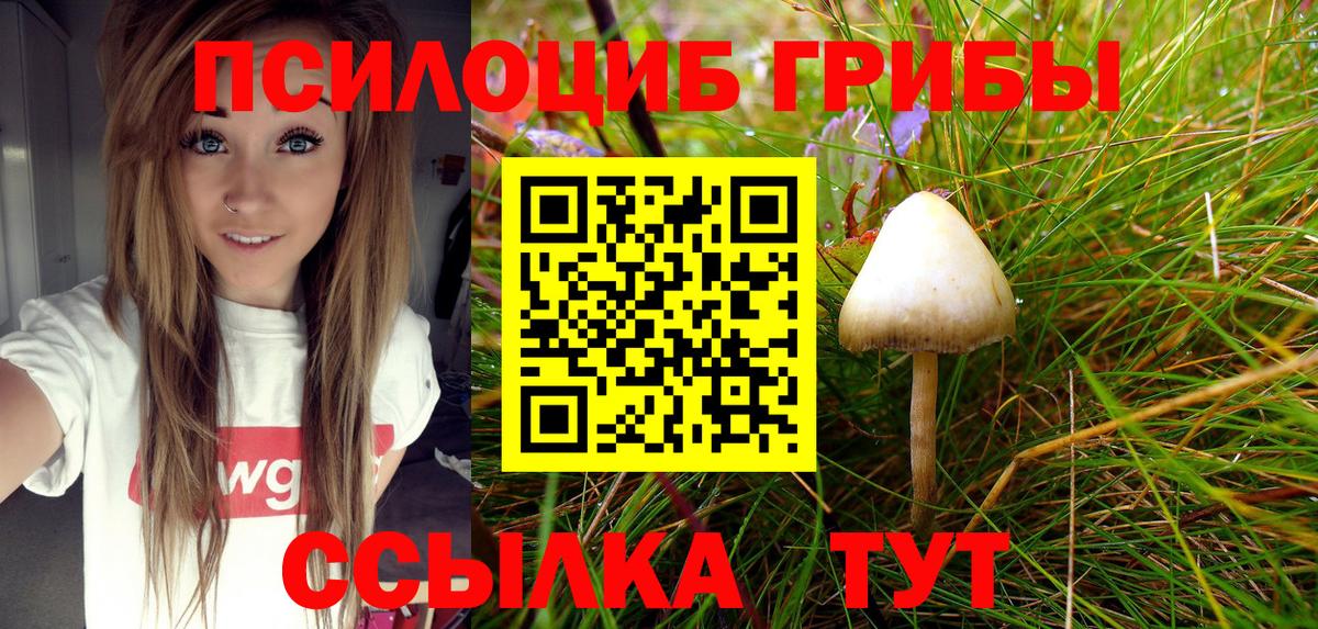 Киржач  Галлюциногенные грибы MAGIC MUSHROOMS  Вход с VPN 